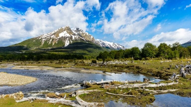 paisaje natural de tierra del fuego