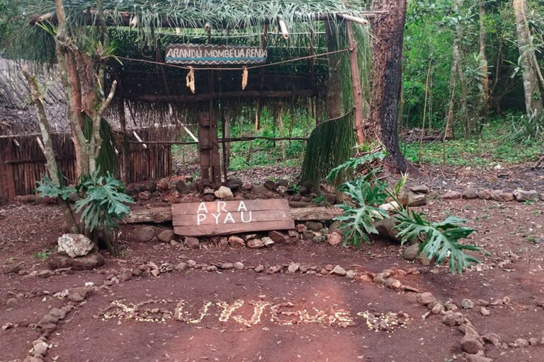 Cuáles son algunas palabras en guaraní y su traducción al español 10 palabras guaranies en un fondo natural