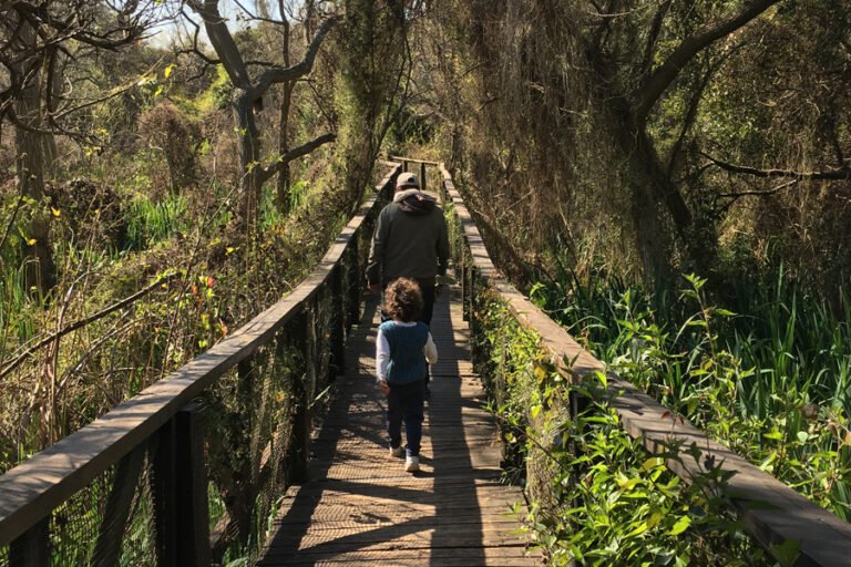 parque natural con paisajes de buenos aires