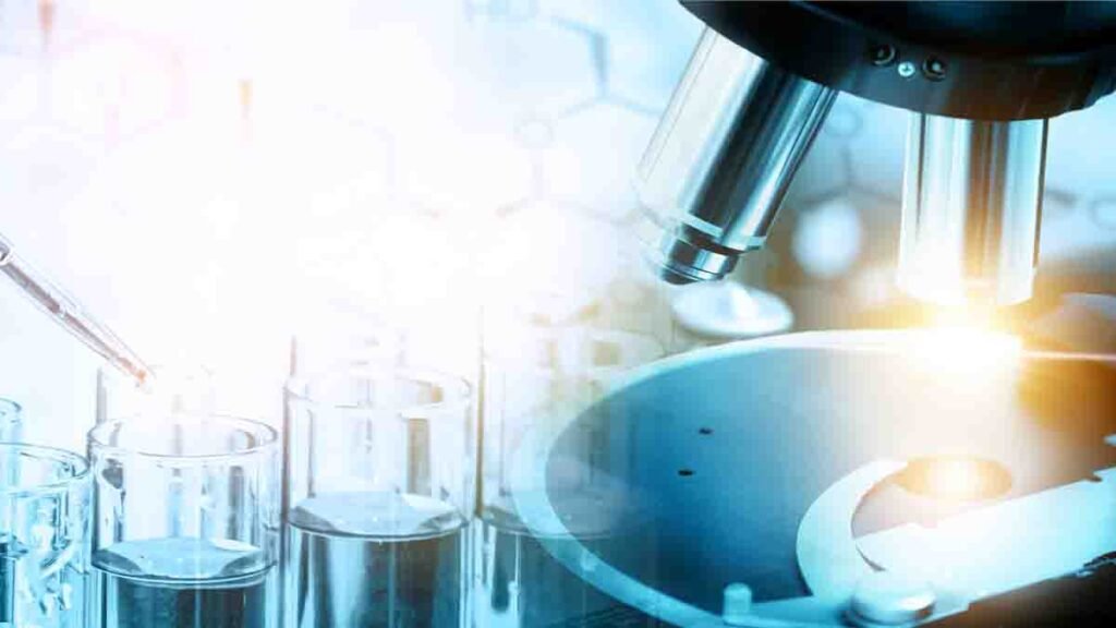 Qué novedades hay sobre las pericias de Maia