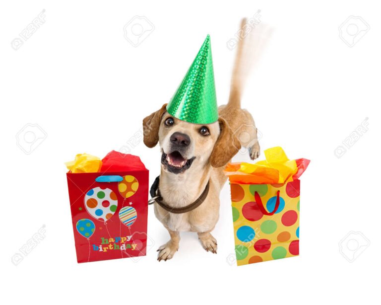 perro feliz jugando con regalos coloridos