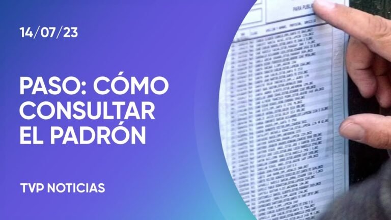 Cómo consultar el padrón electoral en la provincia de Buenos Aires por DNI 17 persona consultando un padron electoral en linea