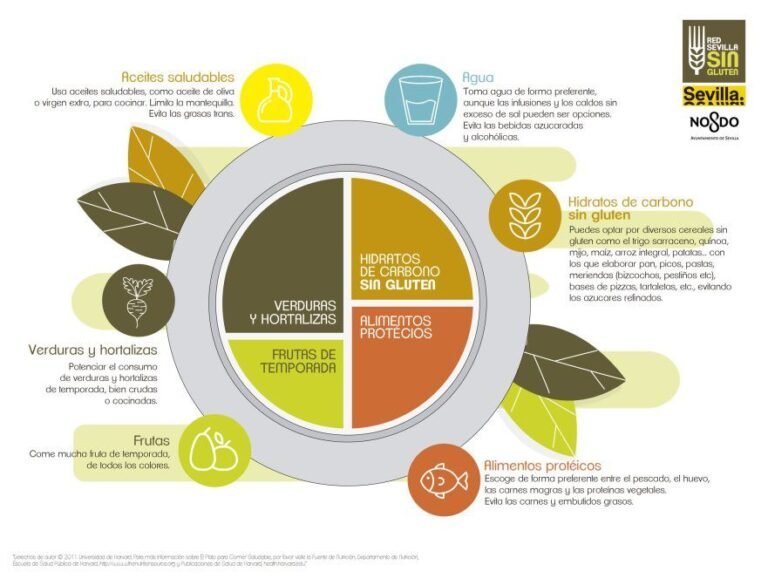 Qué recetas deliciosas y saludables son libres de gluten sin TACC 15 plato colorido de comida saludable sin gluten