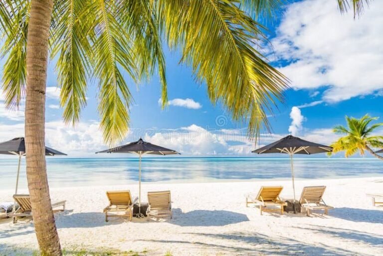Qué actividades se pueden hacer en la Aldea de Mar Las Gaviotas 2 playa tranquila con palmeras y actividades