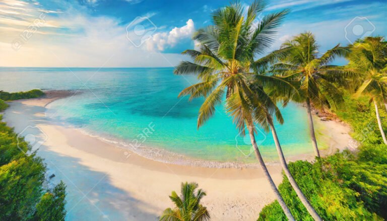 Qué importancia tiene "Trópico de Capricornio" de Henry Miller 8 playa tranquila con palmeras y oceano