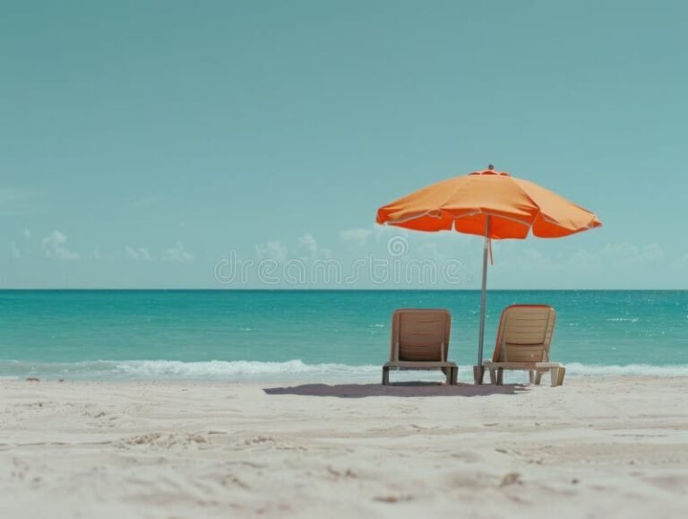 Qué servicios y actividades ofrece Punta Sol en Punta del Este 12 playa tranquila con sombrillas y tumbonas