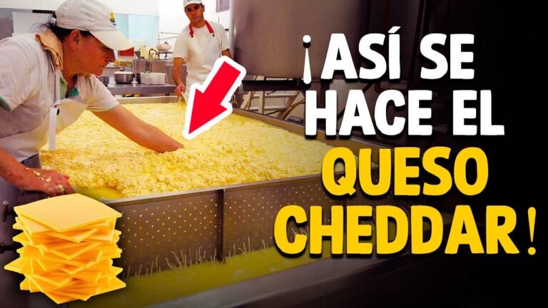 De qué está hecho el queso cheddar y cómo se elabora 19 proceso de elaboracion del queso cheddar