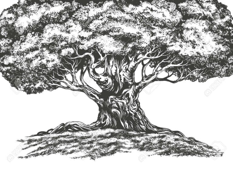 Antonio y Diego Laje son parientes o solo comparten apellido 25 ramas de un arbol genealogico enredadas