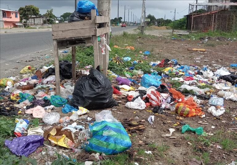 Cómo puedo conseguir trabajo como recolector de basura en mi ciudad 23 recoleccion de basura en la ciudad