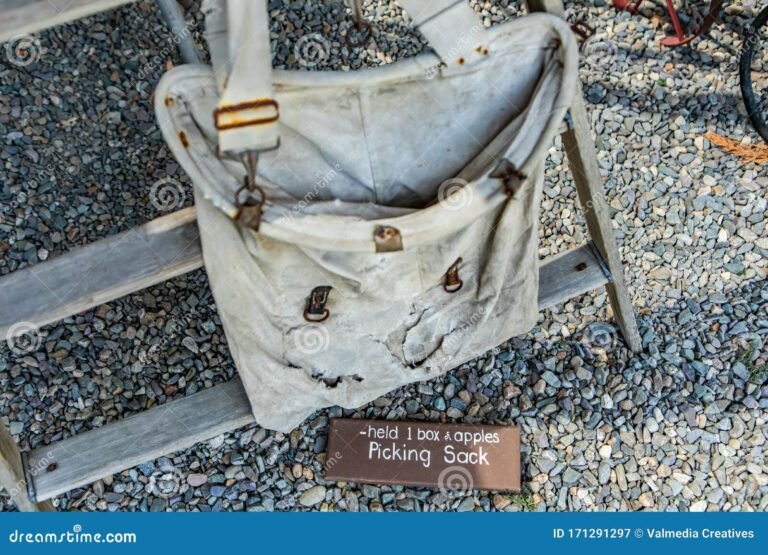 Dónde puedo encontrar un saco viejo en San Antonio Este 18 saco viejo en un mercado de antiguedades