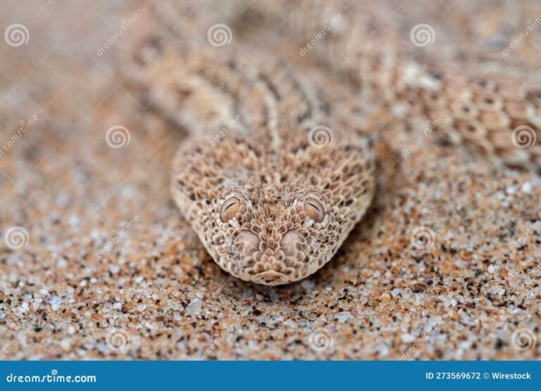 serpiente en un entorno natural sereno