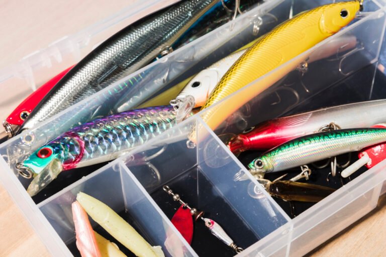 tienda de pesca con diversos productos destacados