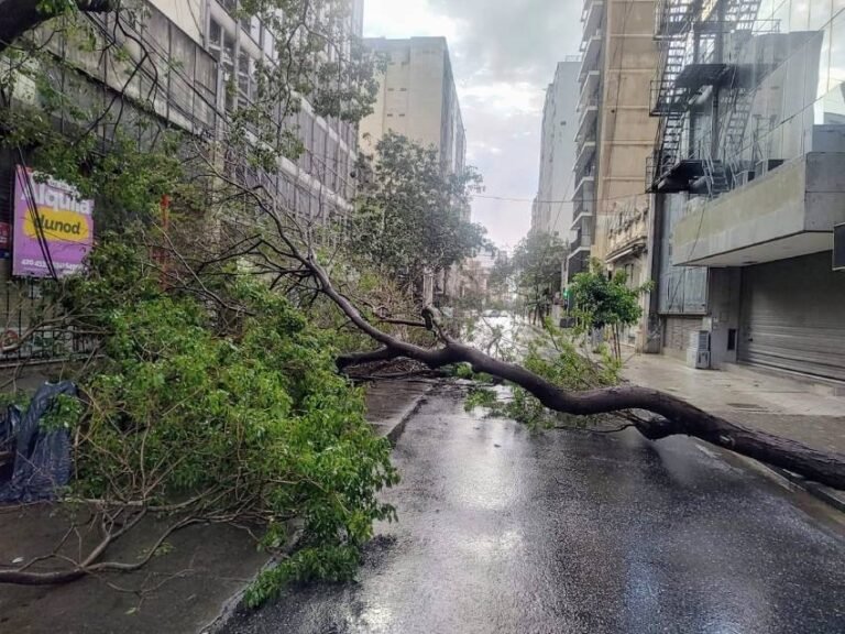 Qué impacto tuvo la tormenta en Villa Mercedes, San Luis 17 tormenta en una ciudad con arboles caidos