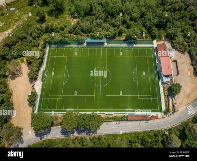 Qué es Fútbol para Todos y cómo acceder a su contenido online 12 vista aerea de un estadio de futbol