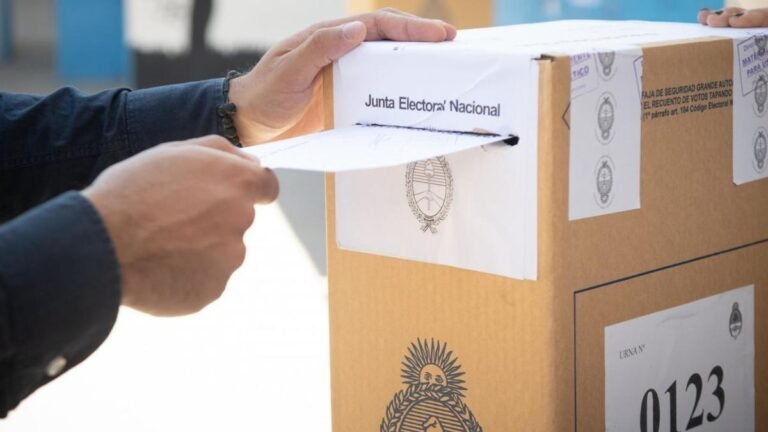 Quién ganó las elecciones en San Luis y cuáles fueron los resultados 1 votantes en una urna electoral